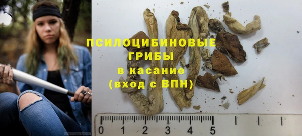 шишки Абаза