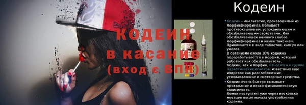 шишки Абаза