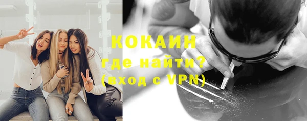 шишки Абаза