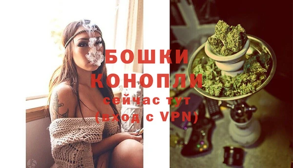 шишки Абаза