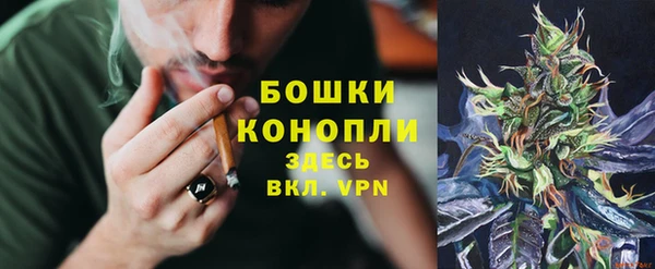 PSILOCYBIN Абинск