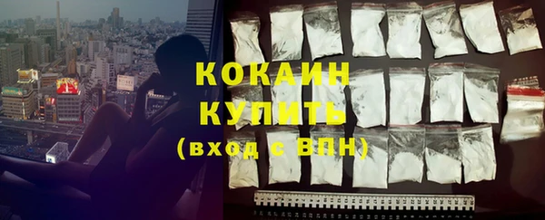 шишки Абаза